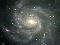 M101 by CCD