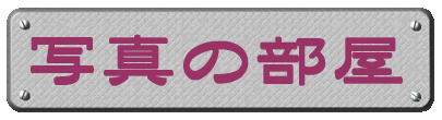ʐ^̕ 